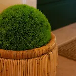 Vistaverde Harmony 4* Cavaion Veronese