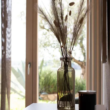 Aparthotel Vistaverde Harmony Cavaion Veronese