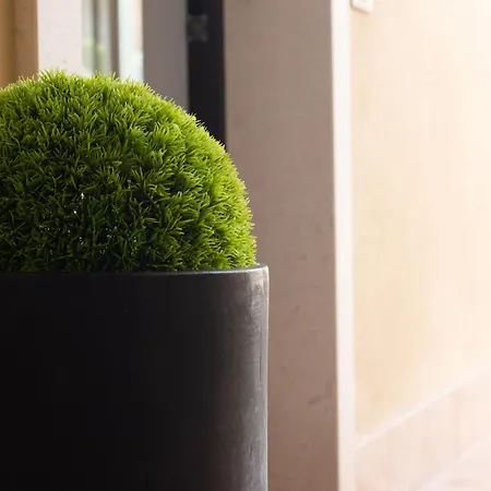 Vistaverde Harmony Aparthotel 4*